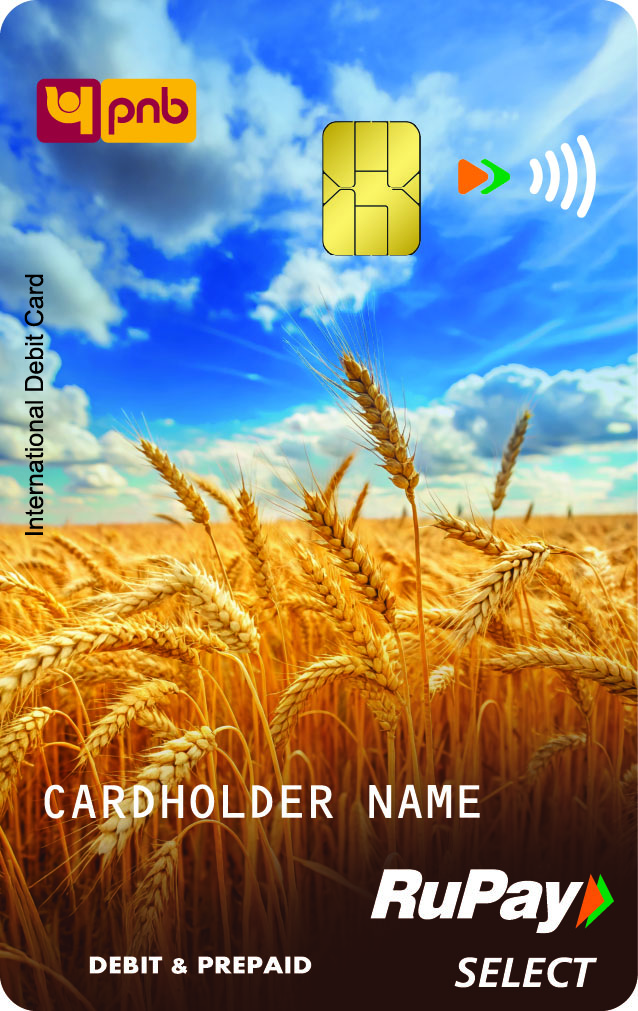 Signature Card