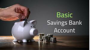 Basic Saving Bank Deposit Account (BSBDA)